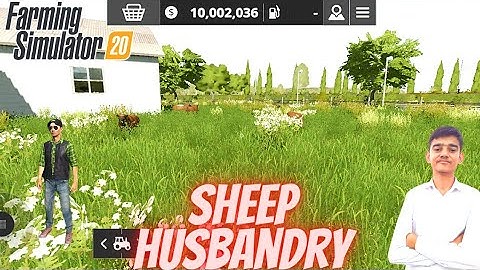After a long Time Sheep Husbandry in New Map | Sheep in New Map | Animals inFs20 | Timelapse |