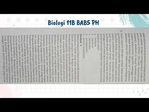 Biologi 11B Bab5 PH