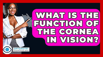 What Is The Function Of The Cornea In Vision? - Optometry Knowledge Base