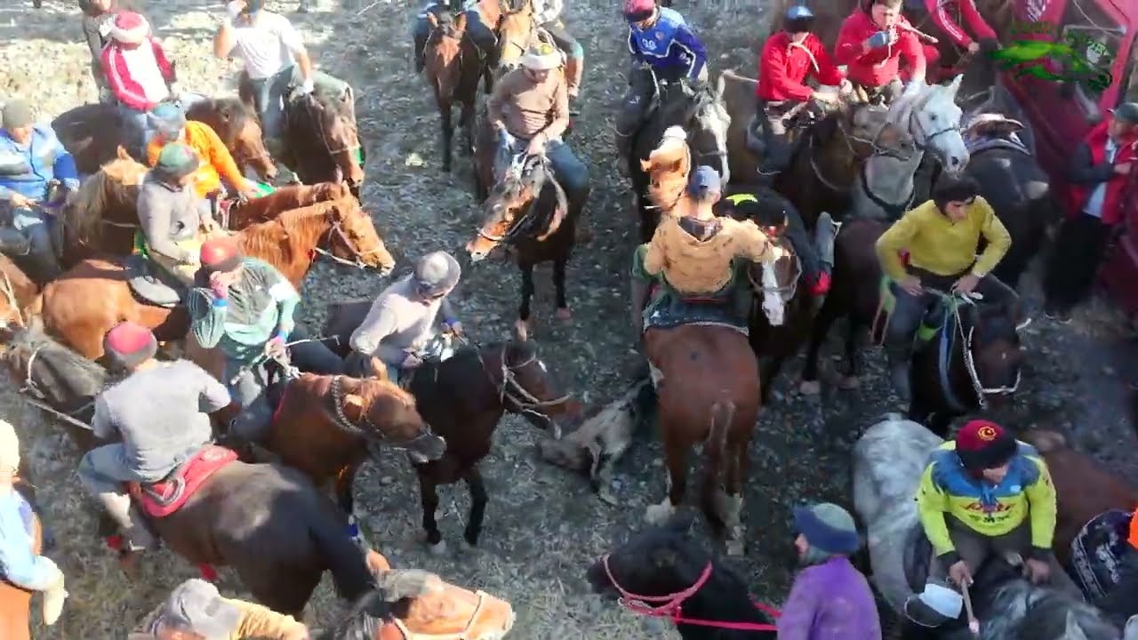 Бузкашии д Алобайтал 08 11 2025 кисми 3. UMED VIDEO Tajikistan zarafshon 