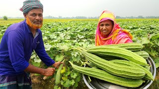 Farm Fresh Ridge Gourd Chicken Curry গরমের দুপুরে ঝিঙে দিয়ে মুরগির মাংস রান্না রেসিপি Jhinge Recipe