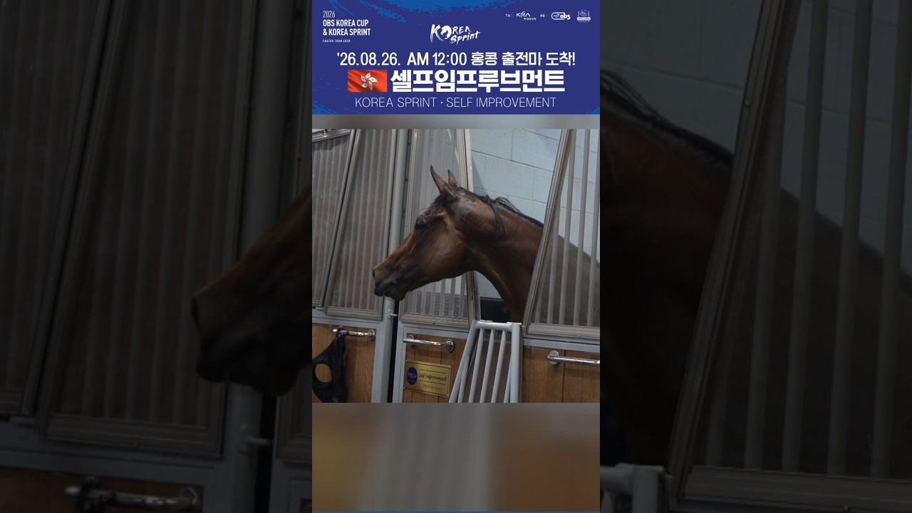 2026 코리아스프린트 출전마! 홍콩 셀프임프루브먼트가 왔어요! #selfimprovement