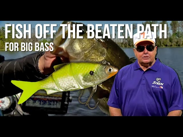 Overlooked Shad-Imitating Swimbait for Tough Bass - Wired2Fish