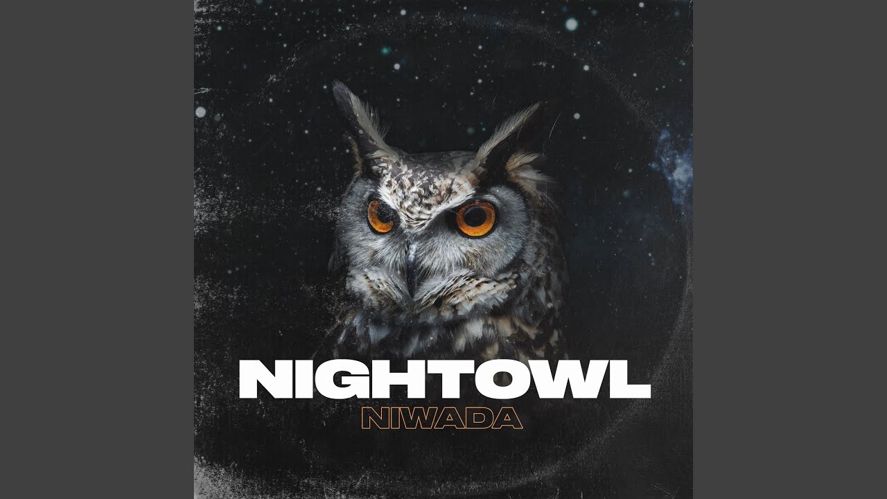 nightowl software