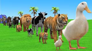 Long Slide Game With Cow Elephant Gorilla Hippopotamus Tiger 3d Animal Game Funny 3d Animals screenshot 1
