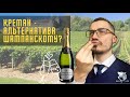 Креман MOINGEON crémant de Bourgogne. Дегустация бургундского игристого вина.