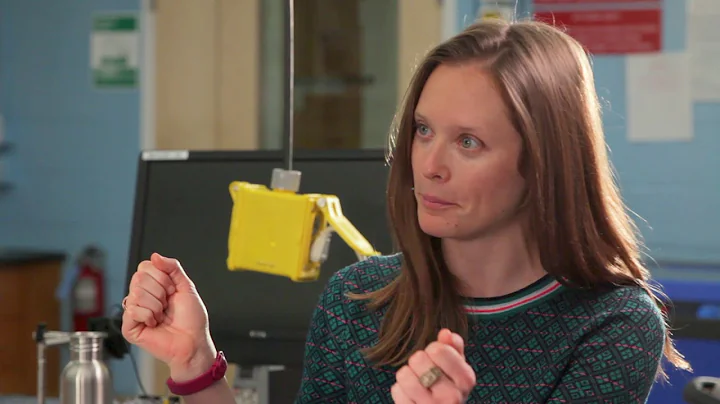 Humans of the Wyss Faculty Edition with Katia Bert...