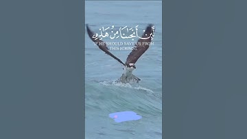 قل من ينجيكم من ظلمات البر والبحر _ كروما ايات قرانية_ القارئ مشاري العفاسي #قرآن #دعاء