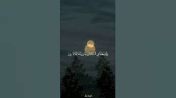 وَلَقَدْ جَعَلْنَا فِي السَّمَاءِ بُرُوجًا وَزَيَّنَّاهَا لِلنَّاظِرِينَ || القارئ هزاع البلوشي
