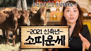 2021년 소띠 운세, 일을 너무 크게 벌리면 안됩니다 24세 정축생 36세 을축생 48세 계축생 60세 신…