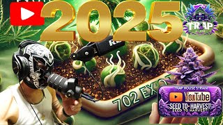 Seed Germinatin How to Germinate Seeds: Step-by-Step Guide | 702 Exotic Method