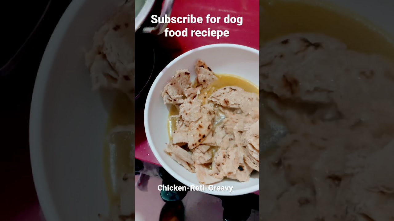 Dog food nutritionally complete homemade dog food recipes YouTube