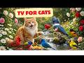 Cat TV for Cats to Watch 😺 Autumn Garden Filled with Playful Birds 🌿🐦 4K UHD