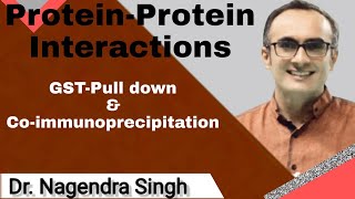 GST Pull Down Assay & Co Immunoprecipitation | Protein-Protein Interactions | PENS#92