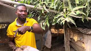 How he built his turkey farm business