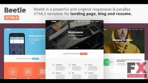 Preview Beetle HTML - Responsive HTML5 Template TForest