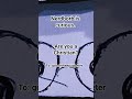 @GooseTheePuppeteer my puppet is curious #dragonpuppets