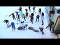 Harlem shake original army edition trop top dlire