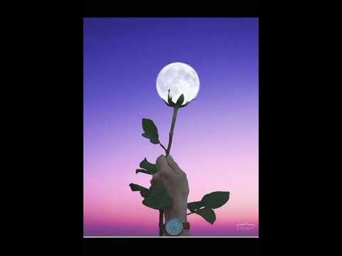 Это нужно видеть! Необычные явления природы.