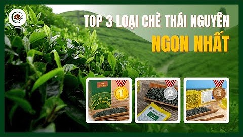 Khám Phá TOP 3 Loại Trà Tân Cương Thái Nguyên Ngon Nhất – Xứng Danh Đệ Nhất Danh Trà Việt Nam