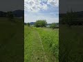 31401 S Hwy 3, Medimont, ID 83842 - Back Pasture property edge West side walk