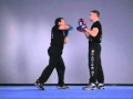 1 pure kickboxing vs jun fan gung fu a comparison