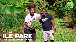 Eatahfood Tour Of Ilé Park Caura Valley Trinidad Tobago
