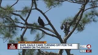Southwest Florida Eagle Cam going down for the summer