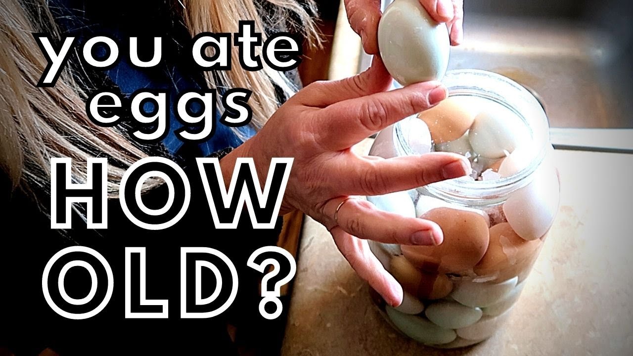 Water Glassing Eggs: How to Preserve Your Fresh Eggs for Long-Term Storage  • The Prairie Homestead