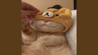 i can't do this shit no more