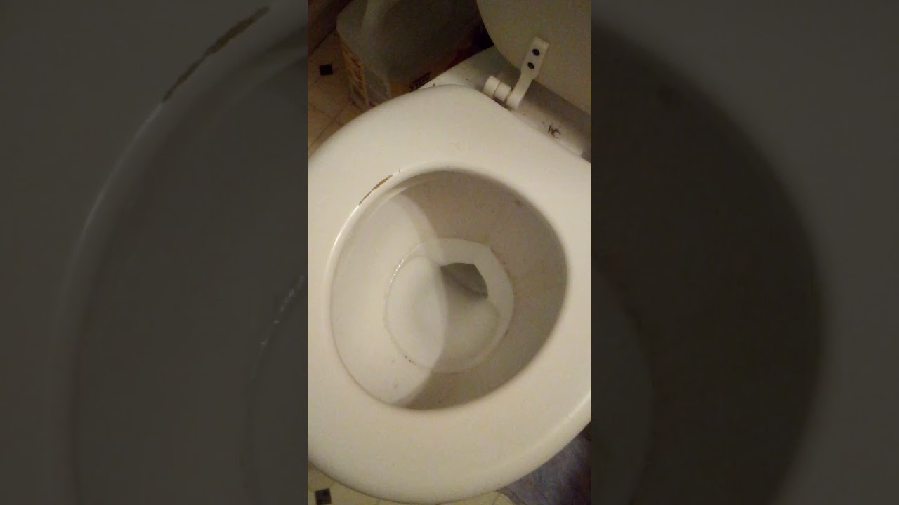 Toilet Flushing YouTube