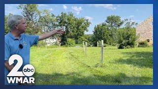 Natural History Society of Maryland offers adventure through educational field trips