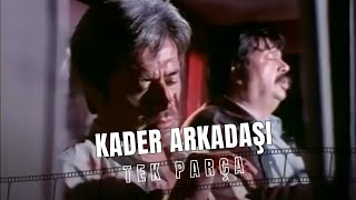 Kader Arkadaşı Cüneyt Arkın Eski Türk Filmi