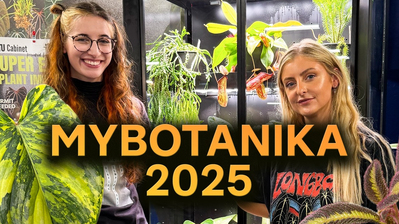 MyBotanika 2025 🌿 Die seltensten Pflanzen & ein Treffen mit Kaylee Ellen!