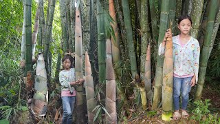 Poor girl harvesting frogs and big bamboo shoots and bring them to the market to sell - Forest life