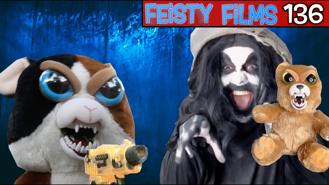 Do Cats Really Have Nine Lives Feisty Films Ep 136 YouTube Do Cats Really Have Nine Lives Feisty Films Ep 136 YouTube