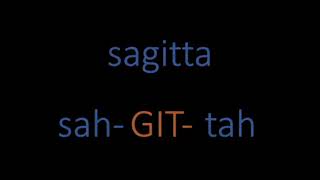 Latin for Beginners - Introduction - Classical Latin Pronunciation