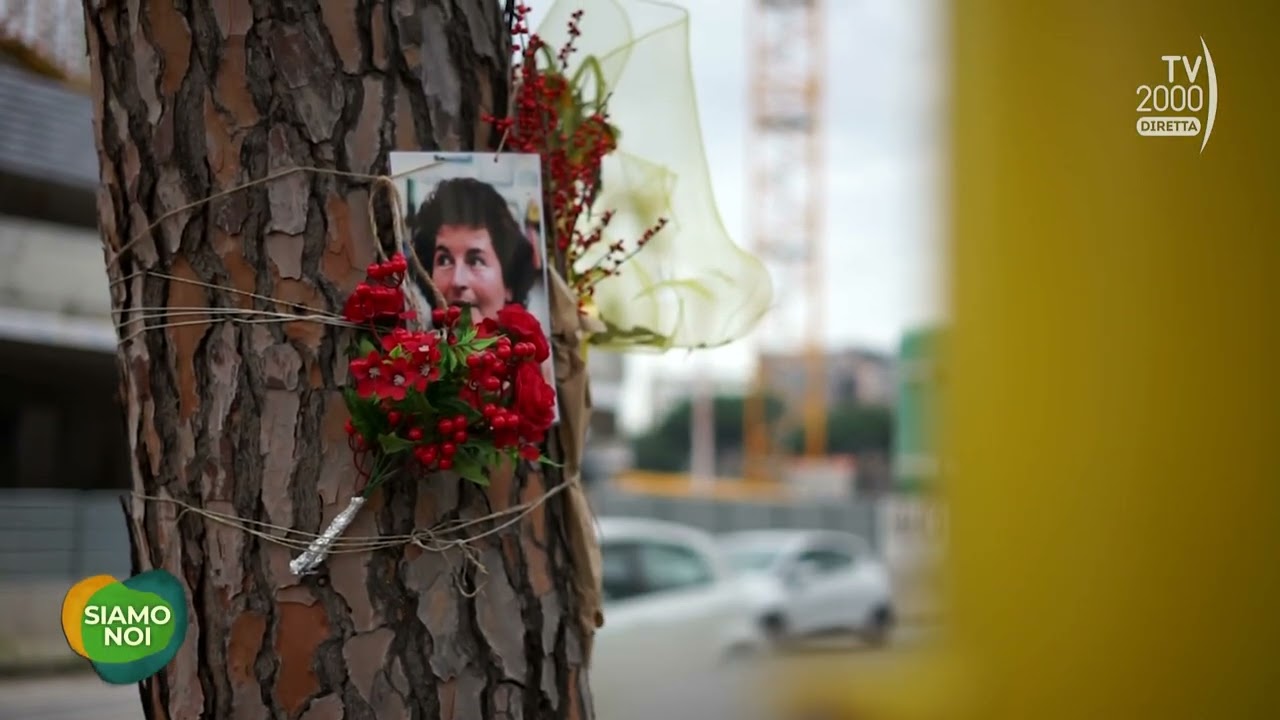 Siamo Noi (Tv2000) - Strisce pedonali fantasma