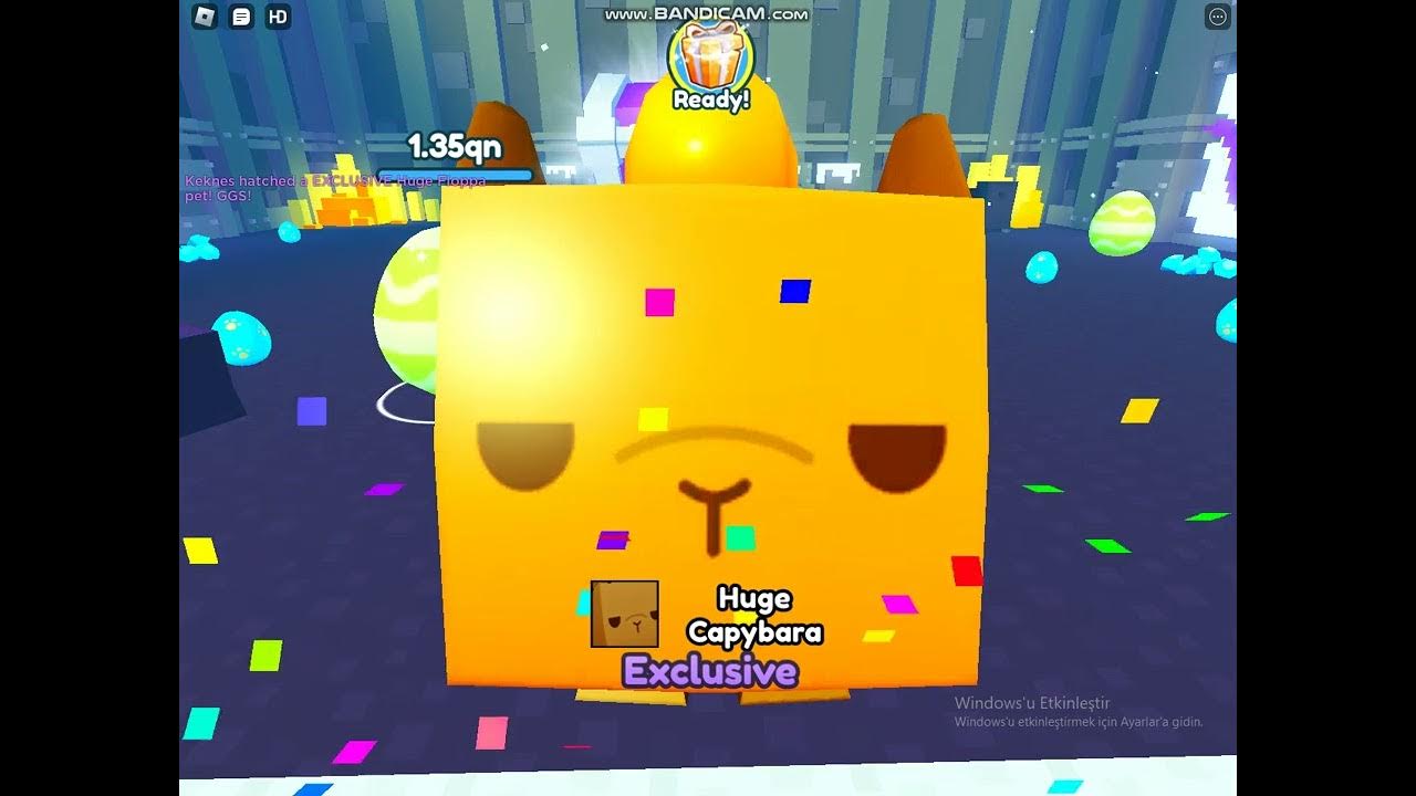 pet simulator x hatching so many gifts and eggs YouTube