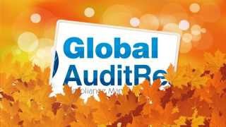 How to Use Global Audit Ready to setup a Standard