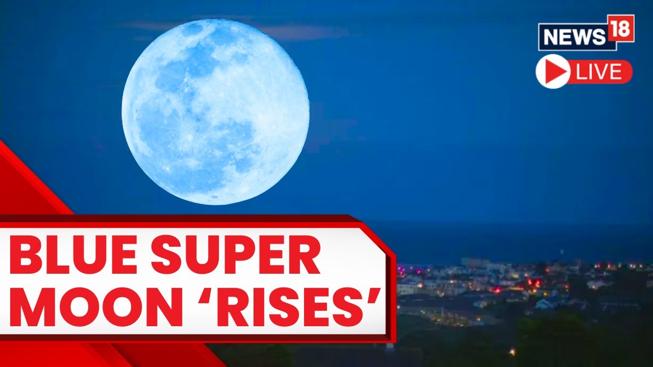 Blue Supermoon August 2023 | Rare Spectacle: Super Blue Moon To Be Visible Today | News18 LIVE