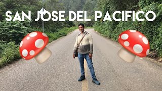 El alucinante pueblo de San José del Pacífico en las montañas de Oaxaca, México