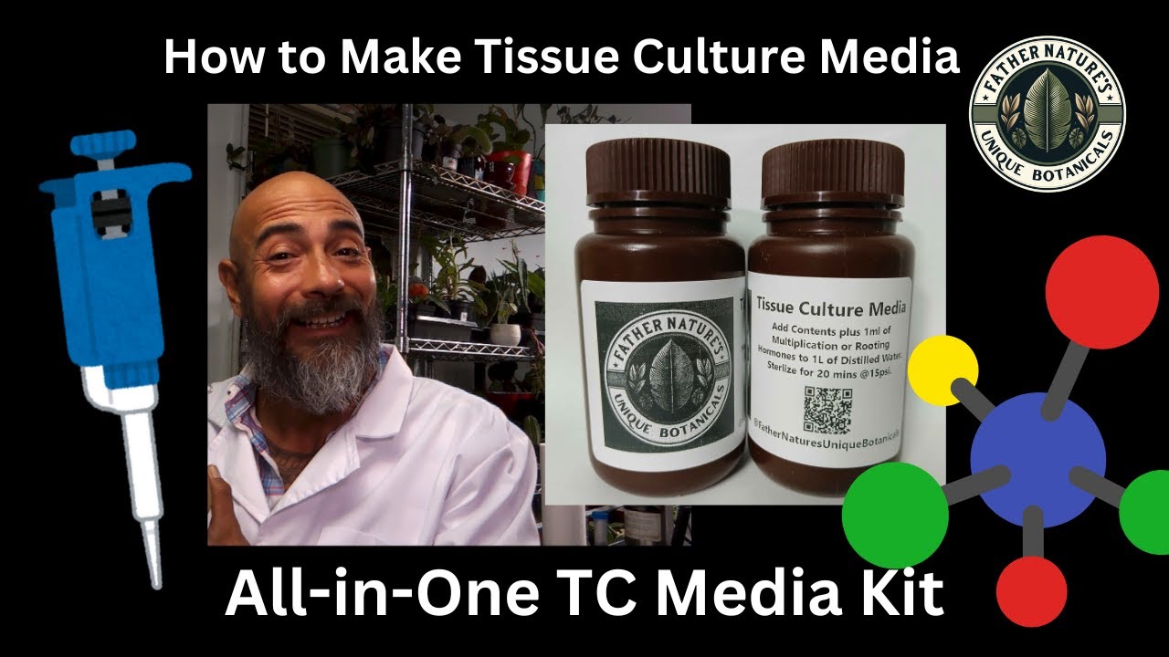 How to Make Tissue Culture Media for Beginners - All-in-One Kit