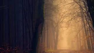 Gül Ile Bülbülün Hikayesi