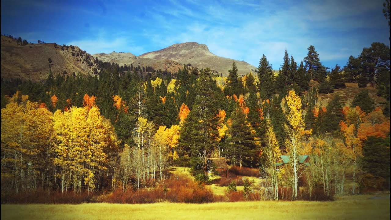 LAKE TAHOE HOPE VALLEY FALL EXTRAVAGANZA in 4K YouTube