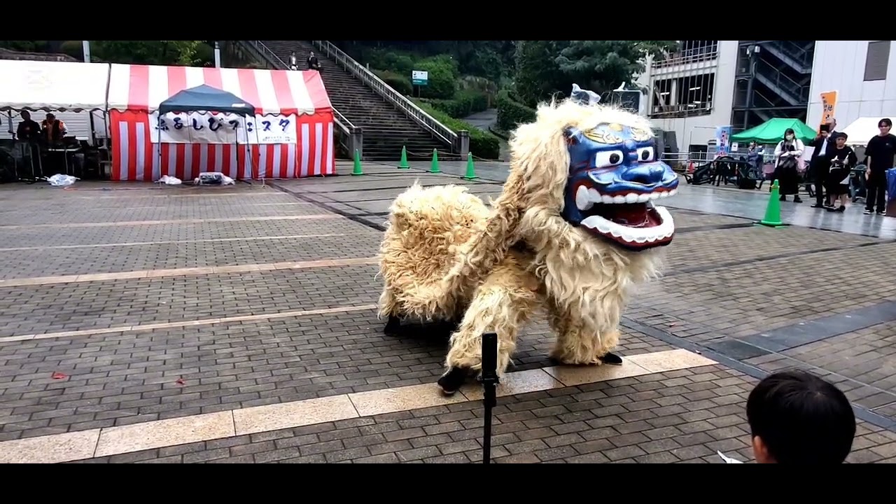 Eisa, tochigi Okinawa Matsuri 2025.10.4