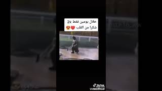 شكلك حبيبتك من تطلب منك شعر