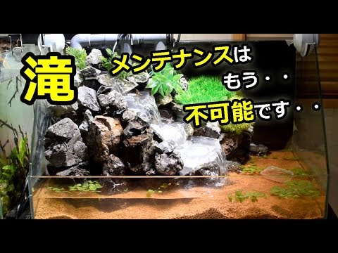 水槽立ち上げ 3段の滝 アクアテラリウム Part3 問題点を克服する Youtube