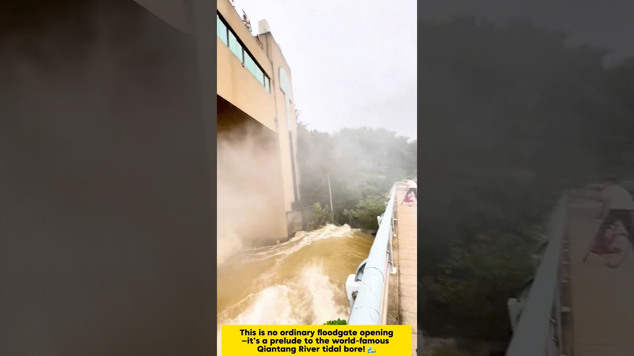 Qiantang River Gate Opened! Witness the Epic August 18th Tidal Surge! 