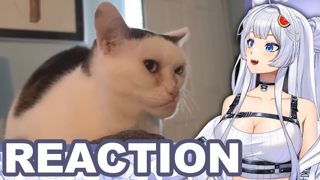 SO EIN SCHÖNES KINN! | Suki reagiert auf Daily Dose of Internet